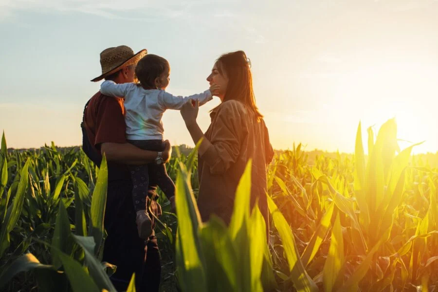 Família na lavoura — direito civil e família rural